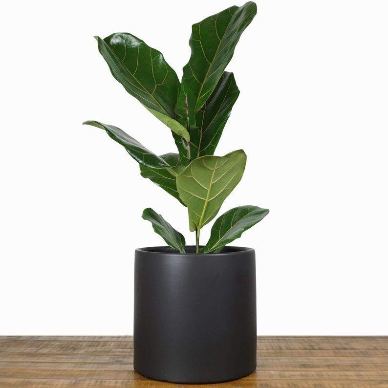 Non-Default Location.  Tracked and Shipping